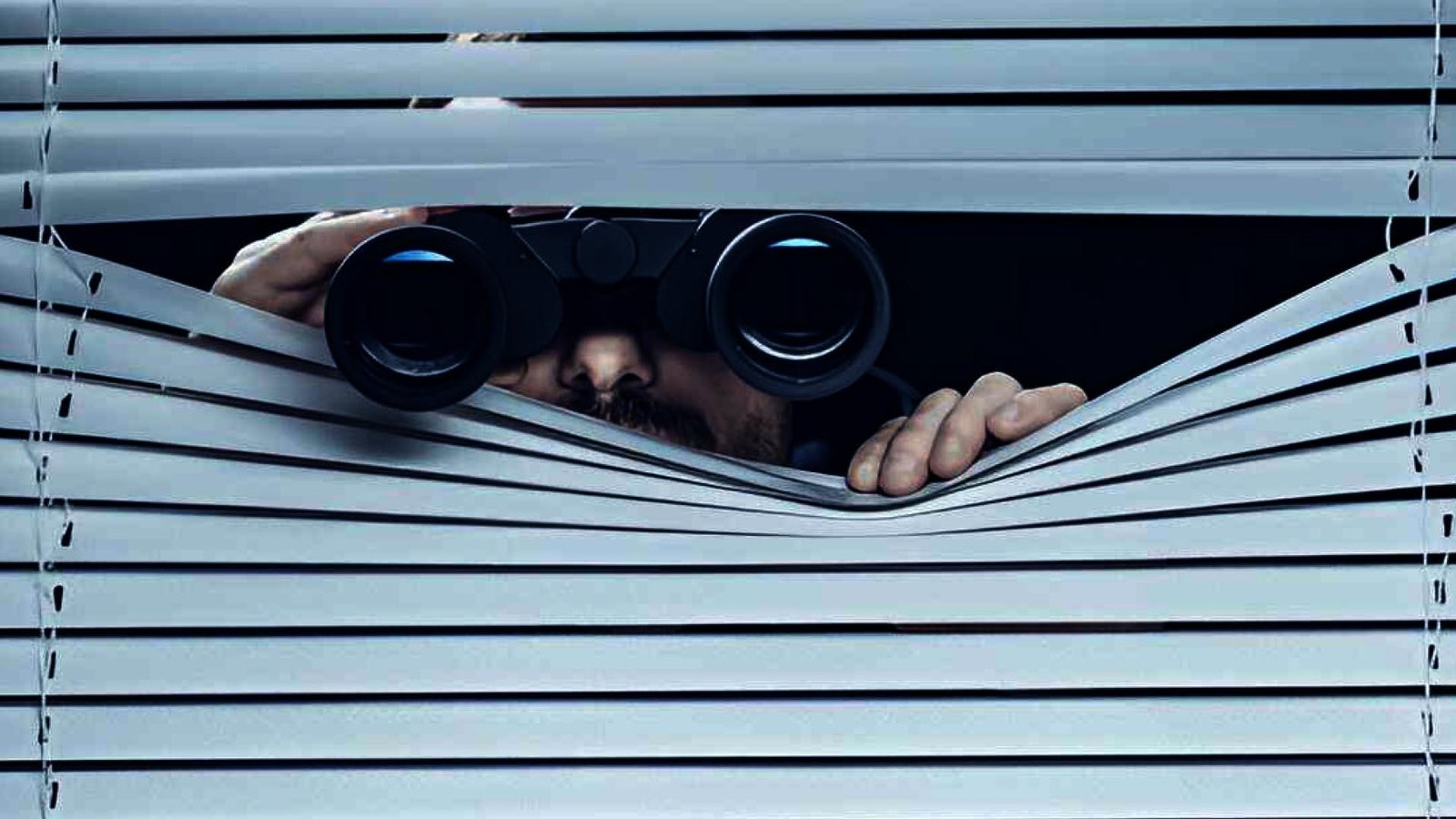 Surveillance Services